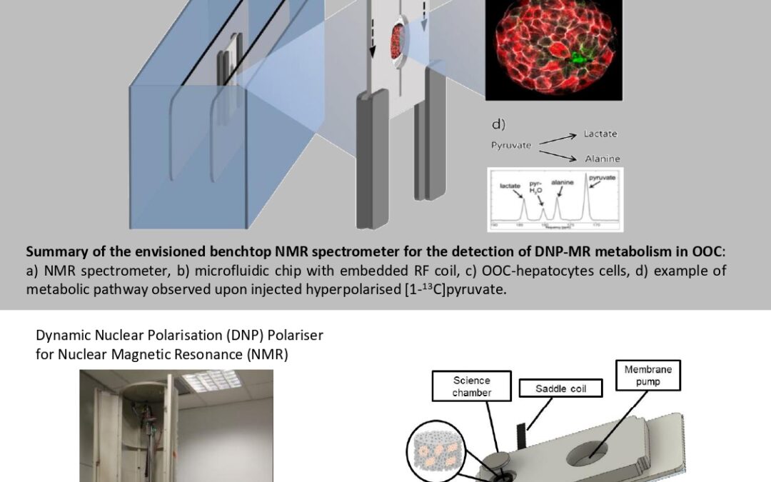 BLOC: Benchtop NMR for lab-on a-chip
